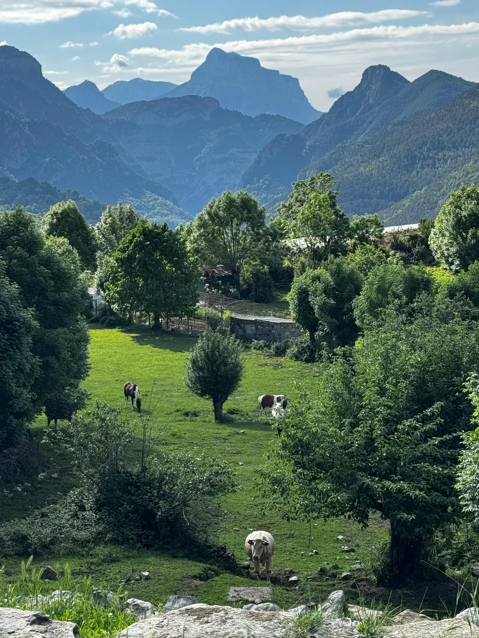 El paisaje de montaña y los prados de Nerín